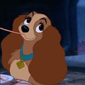 Meet your Posher, Ting